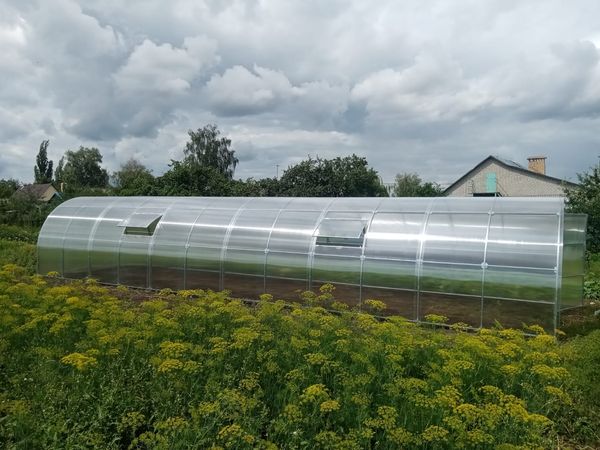 Теплица Ударница Царицынская, ширина 2.5/3 м, труба 40х20 мм Теплица Ударница Царицынская, ширина 2.5/3 м, труба 40х20 мм